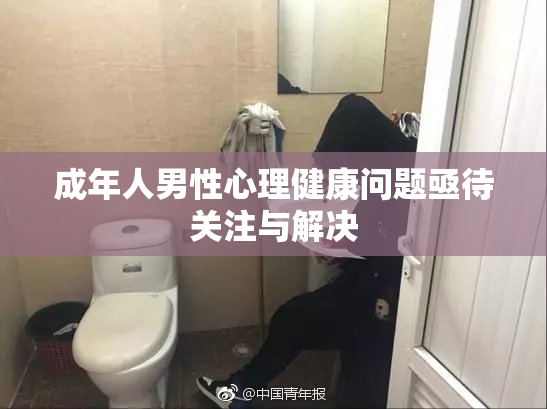 成年人男性心理健康问题亟待关注与解决