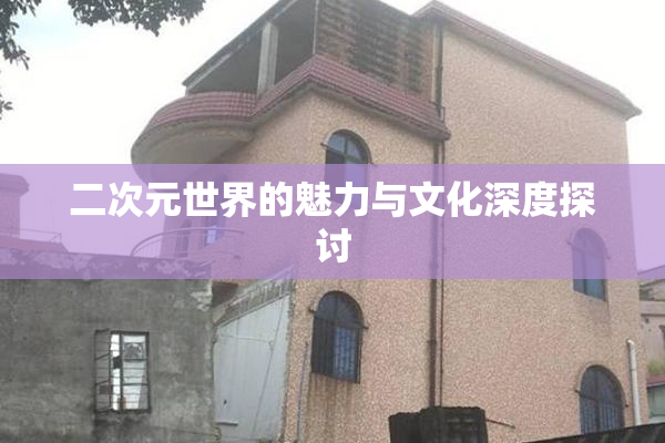 二次元世界的魅力与文化深度探讨