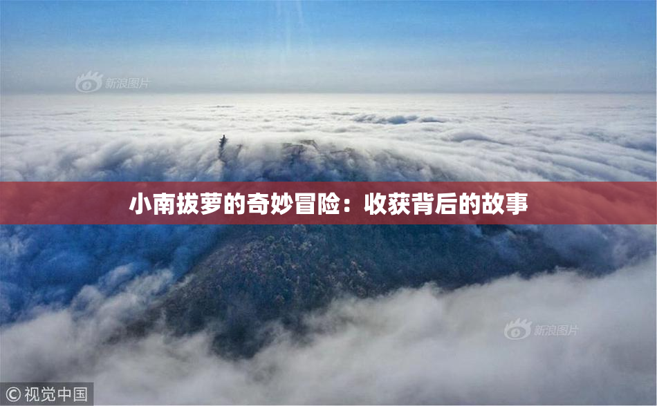 小南拔萝的奇妙冒险：收获背后的故事