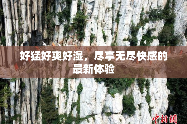 好猛好爽好湿，尽享无尽快感的最新体验