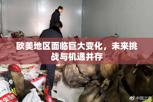 欧美地区面临巨大变化，未来挑战与机遇并存