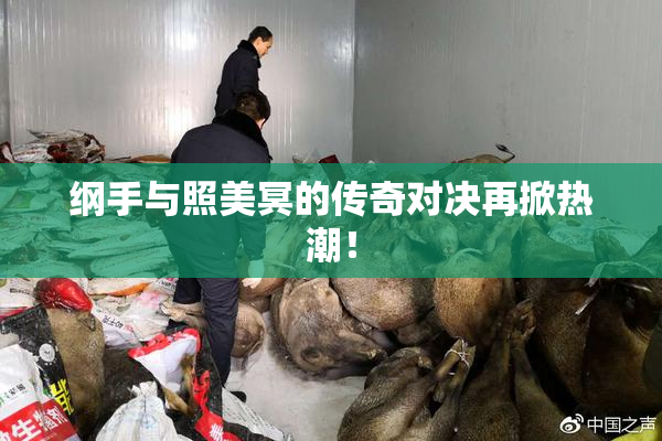 纲手与照美冥的传奇对决再掀热潮！