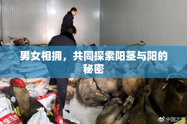 男女相拥，共同探索阳茎与阳的秘密