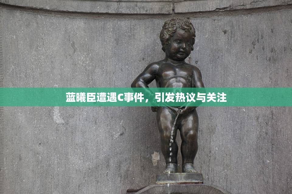 蓝曦臣遭遇C事件，引发热议与关注