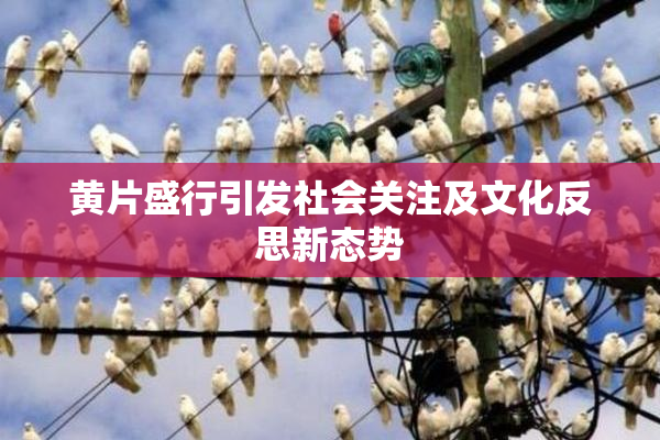 黄片盛行引发社会关注及文化反思新态势