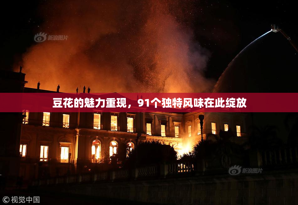 豆花的魅力重现，91个独特风味在此绽放