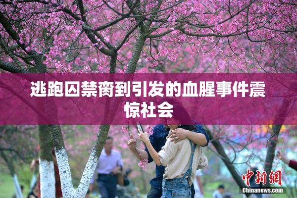 逃跑囚禁脔到引发的血腥事件震惊社会