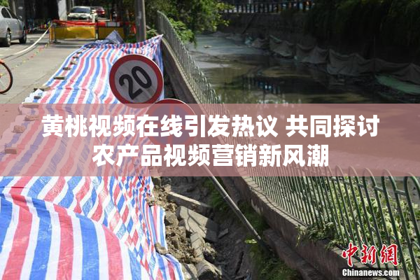 黄桃视频在线引发热议 共同探讨农产品视频营销新风潮