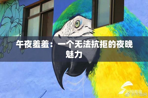 午夜羞羞：一个无法抗拒的夜晚魅力