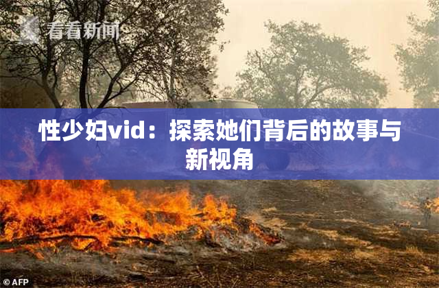 性少妇vid：探索她们背后的故事与新视角