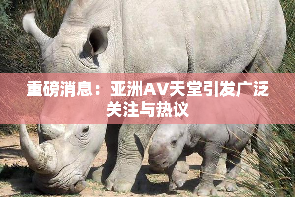 重磅消息：亚洲AV天堂引发广泛关注与热议