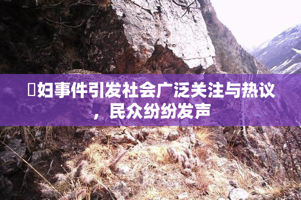 婬妇事件引发社会广泛关注与热议，民众纷纷发声