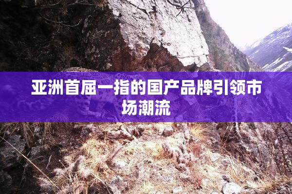 亚洲首屈一指的国产品牌引领市场潮流
