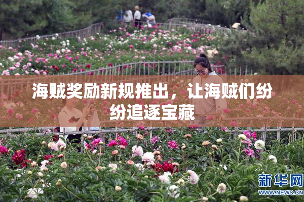 海贼奖励新规推出，让海贼们纷纷追逐宝藏
