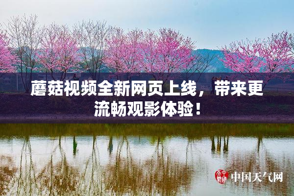 蘑菇视频全新网页上线，带来更流畅观影体验！
