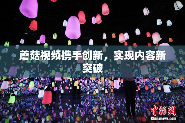 蘑菇视频携手创新，实现内容新突破