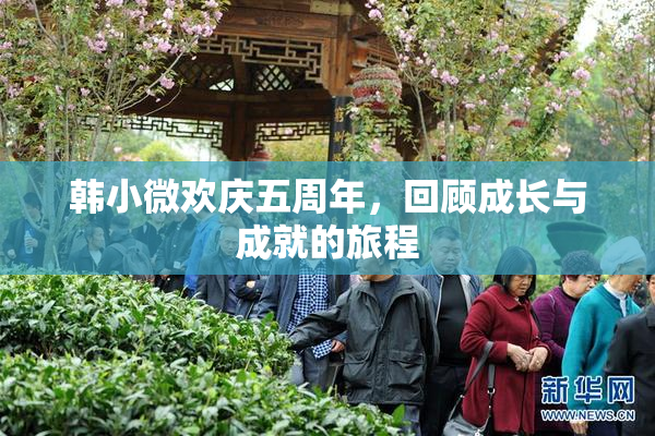 韩小微欢庆五周年，回顾成长与成就的旅程