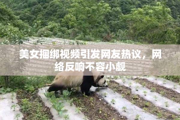 美女捆绑视频引发网友热议，网络反响不容小觑