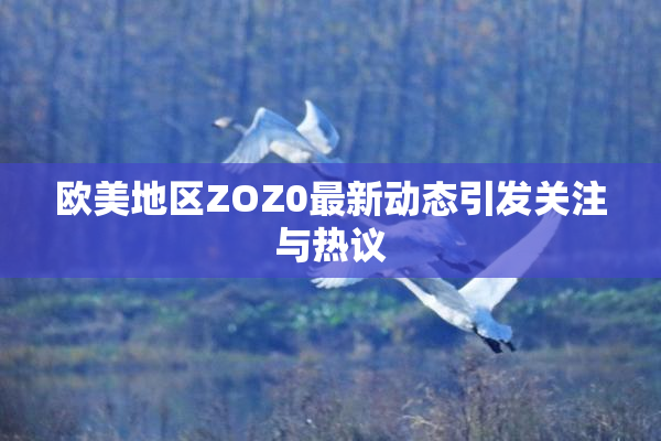 欧美地区ZOZ0最新动态引发关注与热议