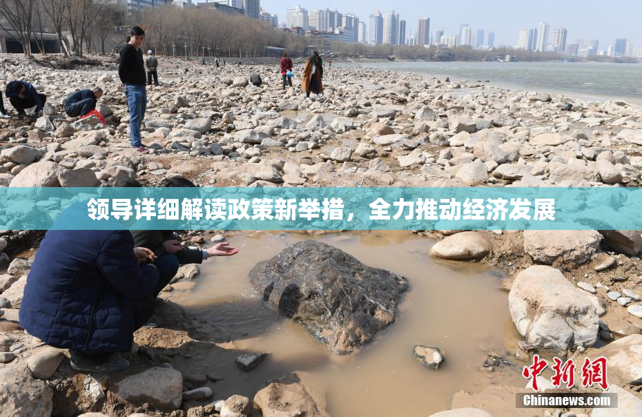 领导详细解读政策新举措，全力推动经济发展