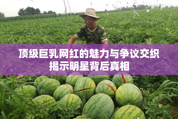 顶级巨乳网红的魅力与争议交织揭示明星背后真相