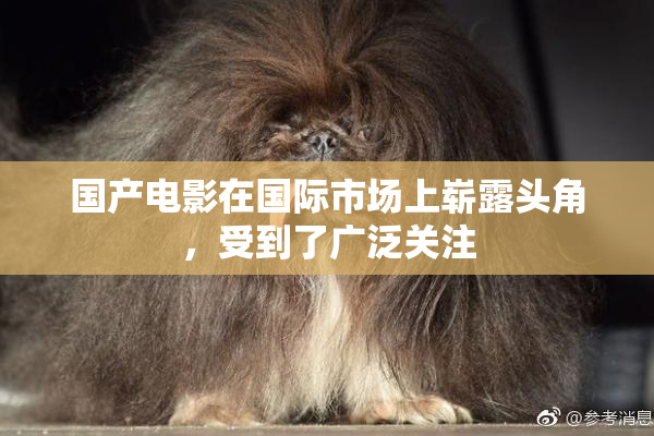国产电影在国际市场上崭露头角，受到了广泛关注