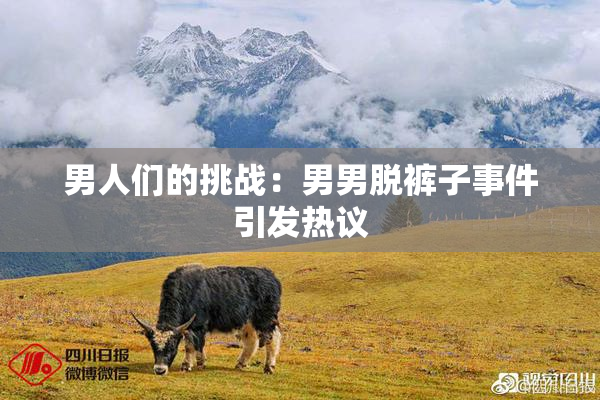 男人们的挑战：男男脱裤子事件引发热议