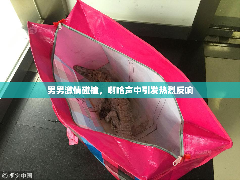 男男激情碰撞，啊哈声中引发热烈反响