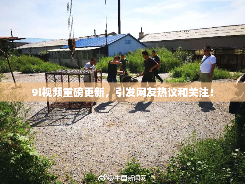 9l视频重磅更新，引发网友热议和关注！