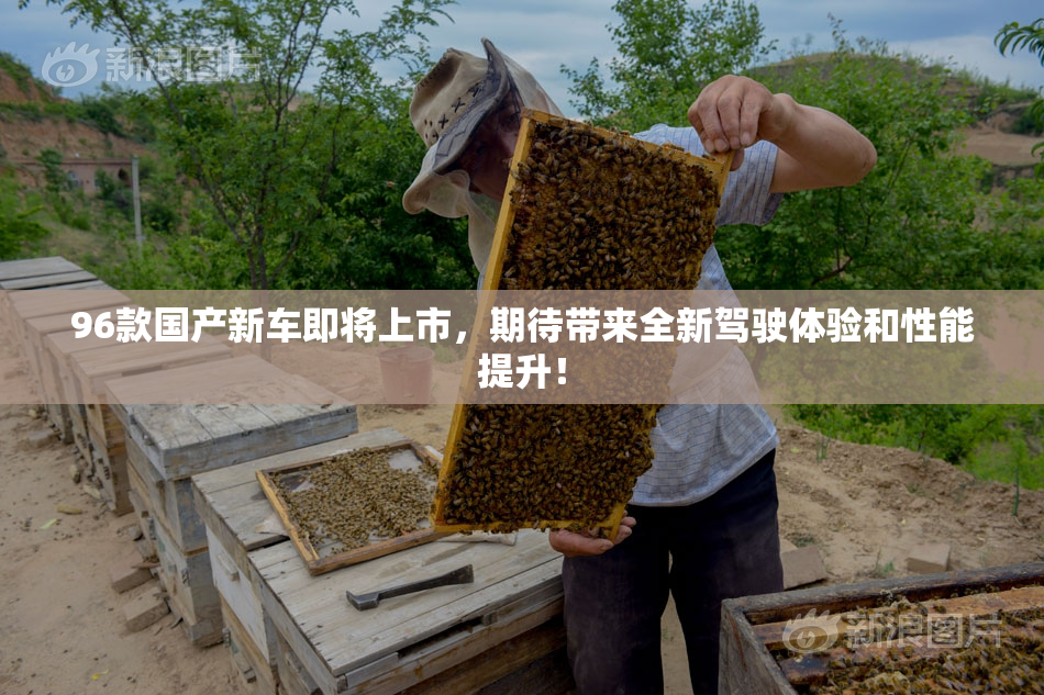 96款国产新车即将上市，期待带来全新驾驶体验和性能提升！