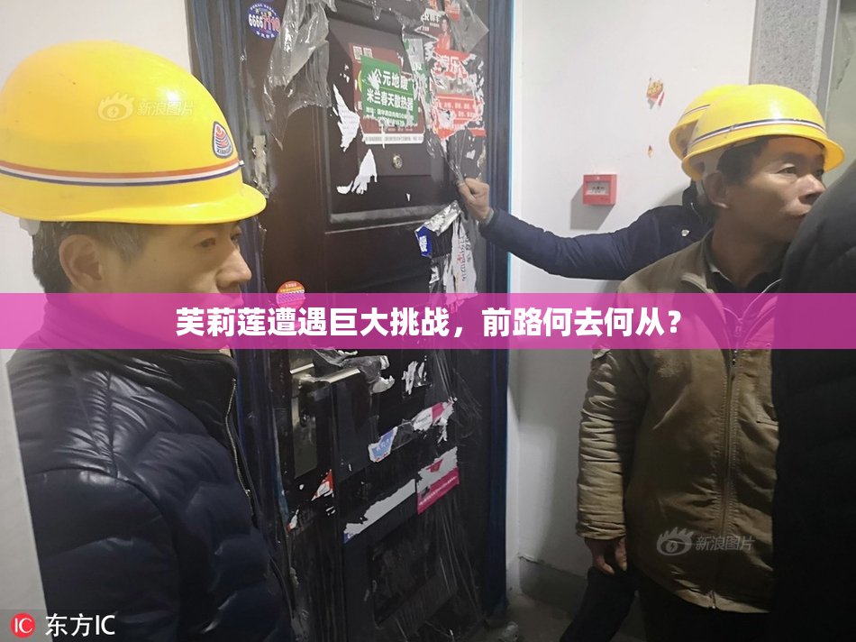 芙莉莲遭遇巨大挑战，前路何去何从？