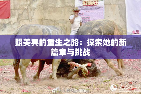 照美冥的重生之路：探索她的新篇章与挑战