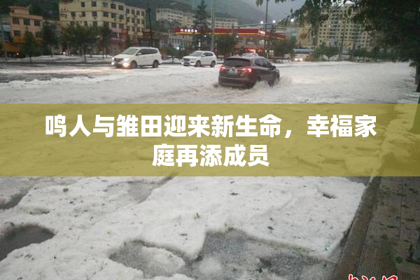 鸣人与雏田迎来新生命，幸福家庭再添成员