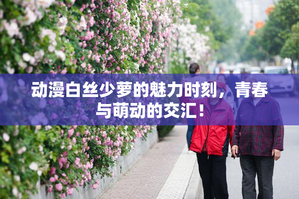 动漫白丝少萝的魅力时刻，青春与萌动的交汇！