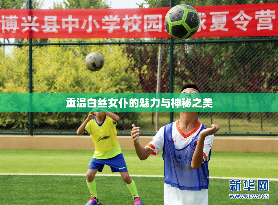 重温白丝女仆的魅力与神秘之美