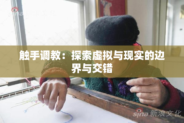 触手调教：探索虚拟与现实的边界与交错