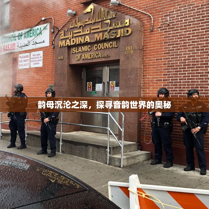 韵母沉沦之深，探寻音韵世界的奥秘