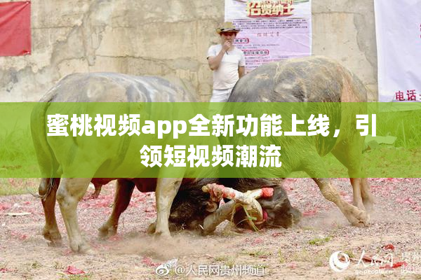 蜜桃视频app全新功能上线，引领短视频潮流