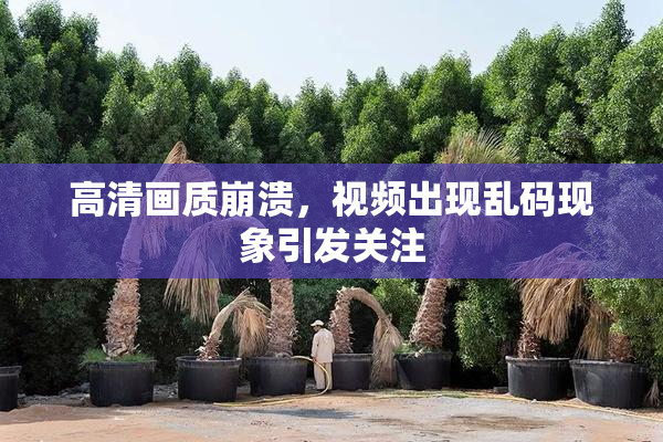 高清画质崩溃，视频出现乱码现象引发关注