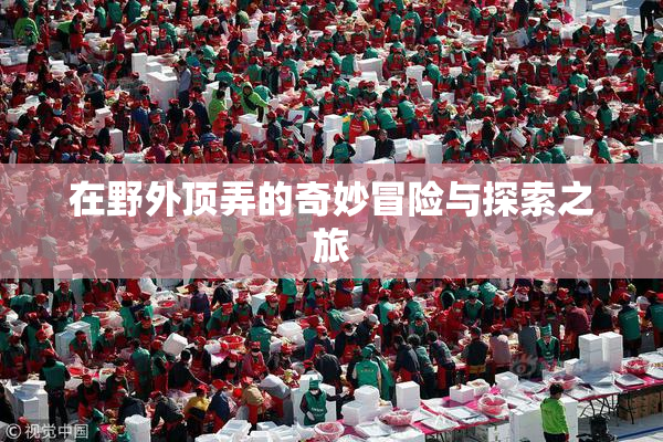 在野外顶弄的奇妙冒险与探索之旅
