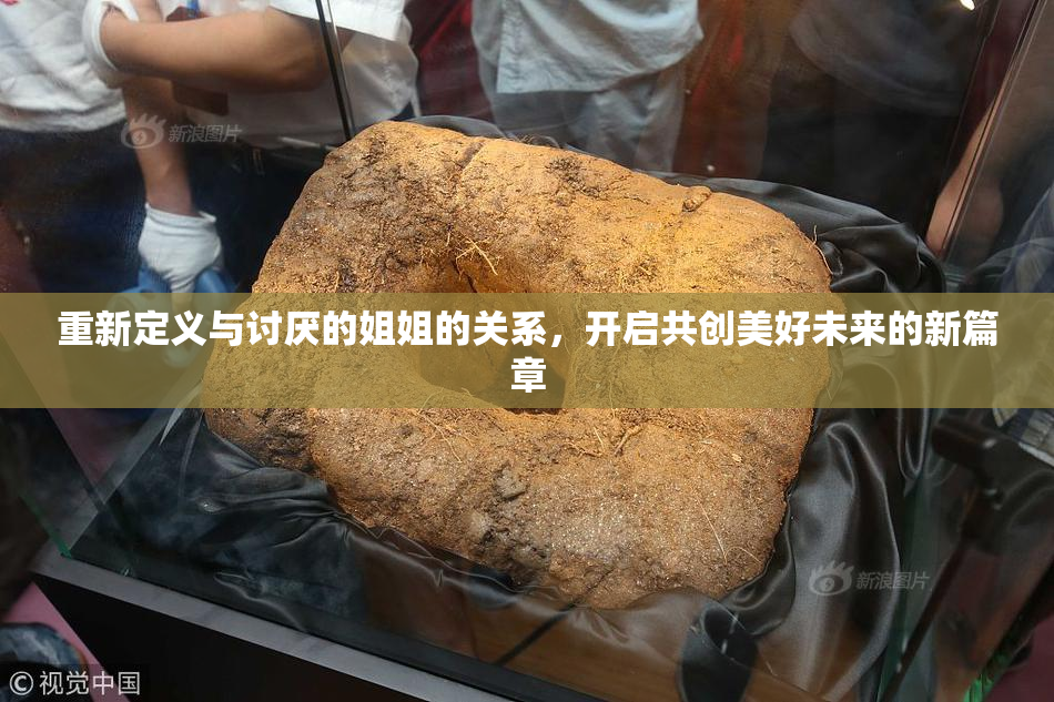 重新定义与讨厌的姐姐的关系，开启共创美好未来的新篇章