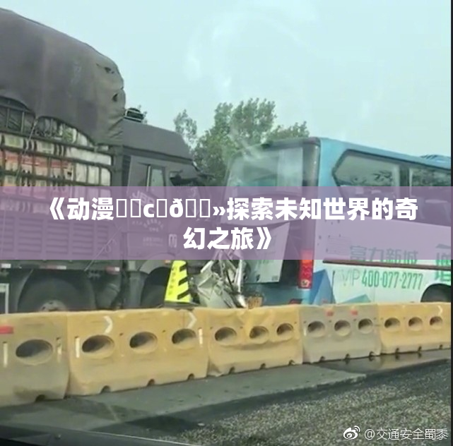 《动漫❌‌c‌🐻探索未知世界的奇幻之旅》