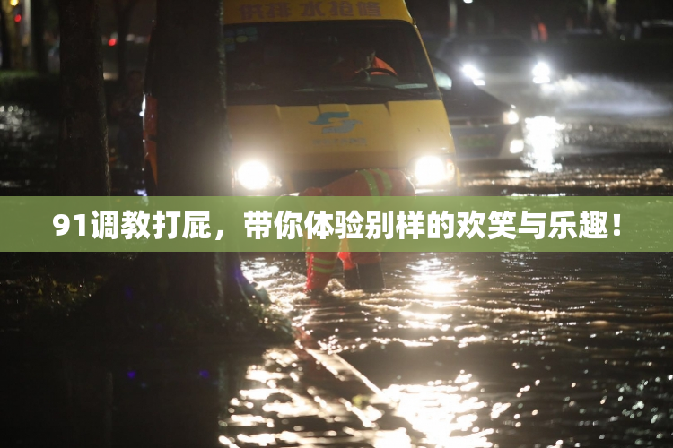 91调教打屁，带你体验别样的欢笑与乐趣！