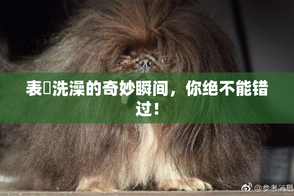 表妺洗澡的奇妙瞬间，你绝不能错过！