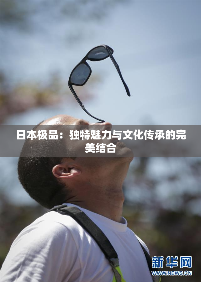 日本极品：独特魅力与文化传承的完美结合
