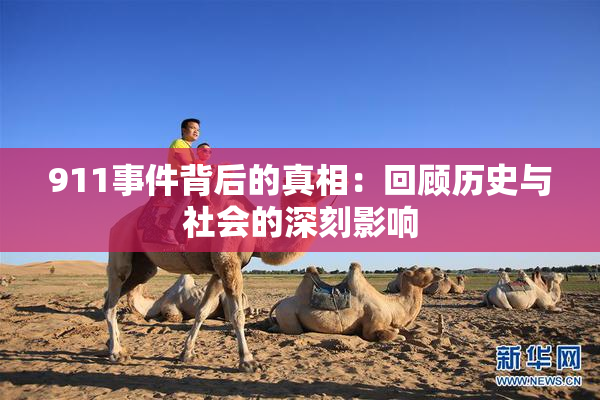 911事件背后的真相：回顾历史与社会的深刻影响