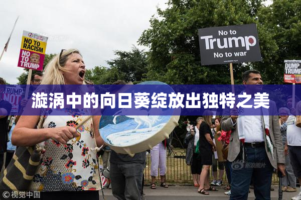 漩涡中的向日葵绽放出独特之美