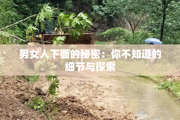 男女人下面的秘密：你不知道的细节与探索