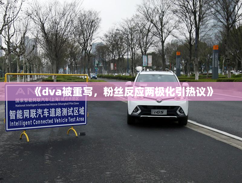 《dva被重写，粉丝反应两极化引热议》