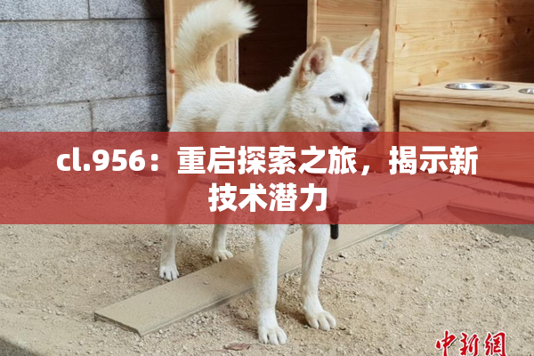 cl.956：重启探索之旅，揭示新技术潜力